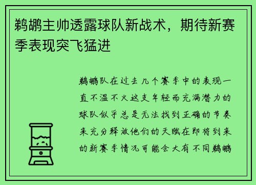 鹈鹕主帅透露球队新战术，期待新赛季表现突飞猛进